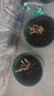 玫瑰花苗老桩绿植物盆栽月季蔷薇老根室内外阳台庭院特大花卉四季 2红玫瑰（老桩苗四季开花） 实拍图