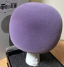 唱吧小巨蛋G2504B星球 手机K歌麦克风 无线蓝牙音箱 话筒音响一体自带声卡 家用唱歌神器生日礼物 实拍图