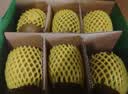 佳沛（zespri）新西兰阳光金奇异果10粒巨大果单果146-175g 猕猴桃水果礼盒 实拍图