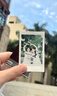 富士（FUJIFILM）【夏日出游季】 立拍立得相机3英寸相纸胶片minise 13 41 99 liplay 白边（20张）+相册+相框 实拍图