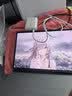 华为（HUAWEI）M-Pencil Pro 平板创作笔 华为手写笔 星闪技术 AI 一触即达 360°隐身触控 雪域白 实拍图