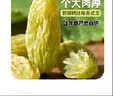 果夫子蓝宝石葡萄干250克新疆吐鲁番美人指 特级无籽孕妇儿童免洗零食 实拍图