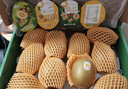 佳沛（zespri）新西兰阳光金果4粒装单果约103-114g 猕猴桃新鲜水果源头直发 实拍图