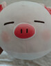 名创优品（MINISO）小猪B-BO翅膀款趴毛绒公仔玩具玩偶抱枕娃娃靠枕生日礼物女 实拍图