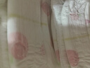 好奇（Huggies）铂金装小桃裤成长裤XXL74片(15kg以上)尿不湿【夏季散热王】 实拍图
