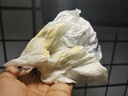 亿力布艺清洗机【100°C高温蒸汽】洗吸一体地毯沙发床垫窗帘清洁机油烟机空调擦窗玻璃多功能神器MC10 实拍图