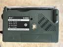 德生（Tecsun） R-909老年人全波段收音机广播半导体便携式老人指针迷你FM收音机 标配 实拍图