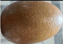 佳沛（zespri）新西兰 阳光金果18粒超大果原箱单果175-204g 猕猴桃水果礼盒 实拍图