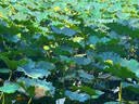 ALittleFlower适用苹果iPad air5保护壳套22/20款10.9英寸ipad air4保护壳苹果平板三折电脑防弯防摔磨砂石墨黑 实拍图