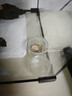 崇雾黄粉虫大麦虫活虫面包虫活体鲜活虫乌龟八哥仓鼠鸟食守宫龙鱼饲料 实拍图