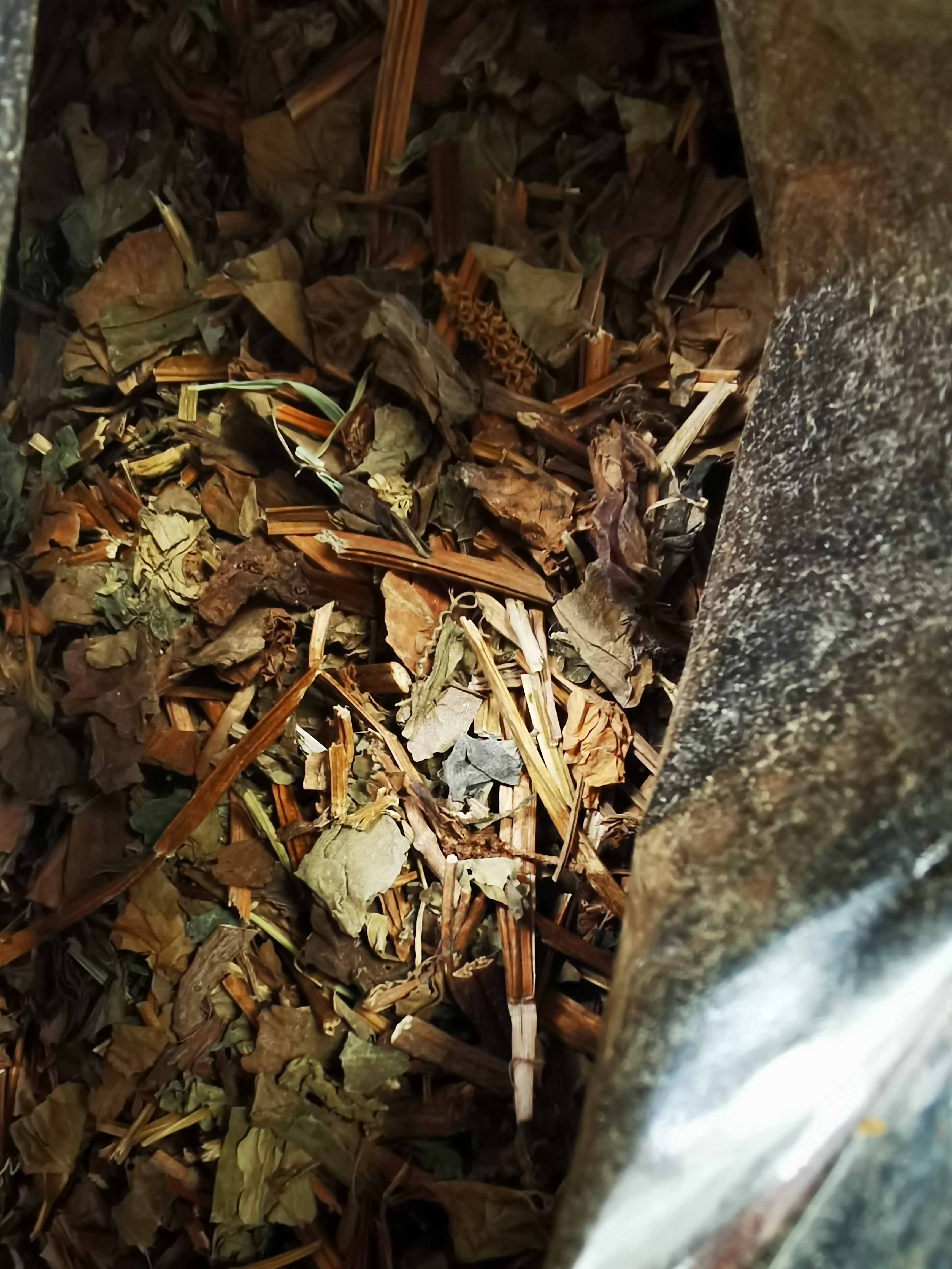 弘礼堂鱼腥草500克 鱼腥草茶草干泡水凉茶 鱼腥草折耳根代茶饮中药材 实拍图