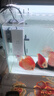 松宝（sobo）鱼缸过滤器内置三合一过滤增氧系统水族箱养鱼循环水泵氧气泵 15W 实拍图