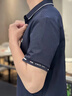斐乐 斐乐官方男装针织短袖POLO衫夏季休闲凉感商务休闲上衣 A款-传奇蓝-NV XL 180/100A/XL 实拍图