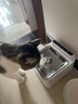 小甜橙猫咪饮水机无线智能宠物饮水机自动喝水器锂电池循环循环 实拍图