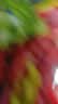 好人家香辣口味小龙虾调料220g-香辣蟹海鲜调味料 实拍图