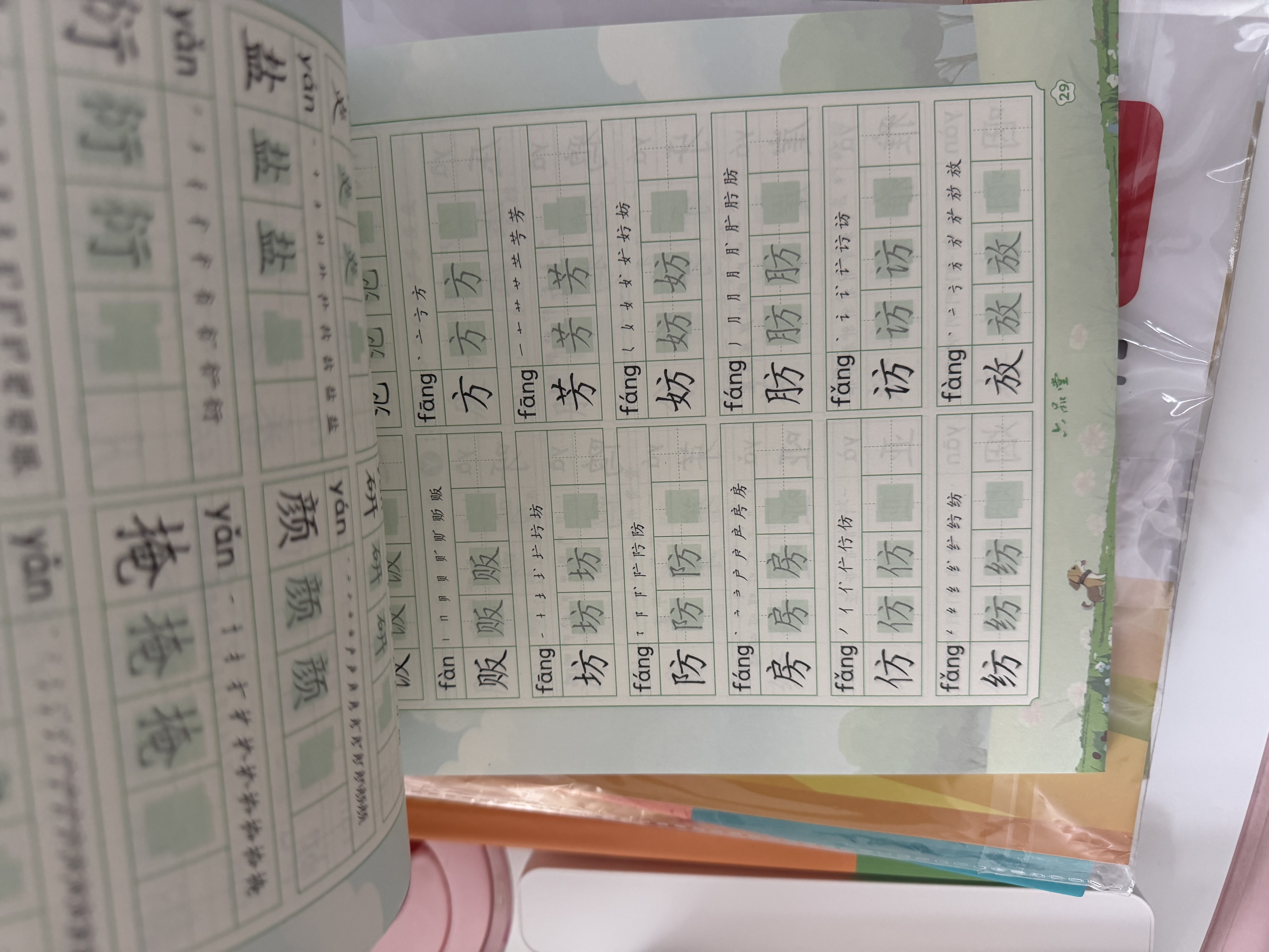 六品堂小学生专用练字帖2500字练习字帖一年级二年级三年级四五六年级楷书描红钢笔练字硬笔书法 实拍图