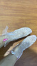 KOOGIS一次性脚套足膜套带固定贴100只护理足疗袋泡脚试鞋足套塑料脚套 实拍图