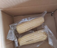 佳农内蒙白甜糯玉米棒8袋*220g 真空锁鲜 源头直发 包邮 生鲜礼盒 实拍图