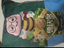 德沃多发财树专用植物营养土2.6kg园艺绿植盆栽养花土种植基质土 实拍图