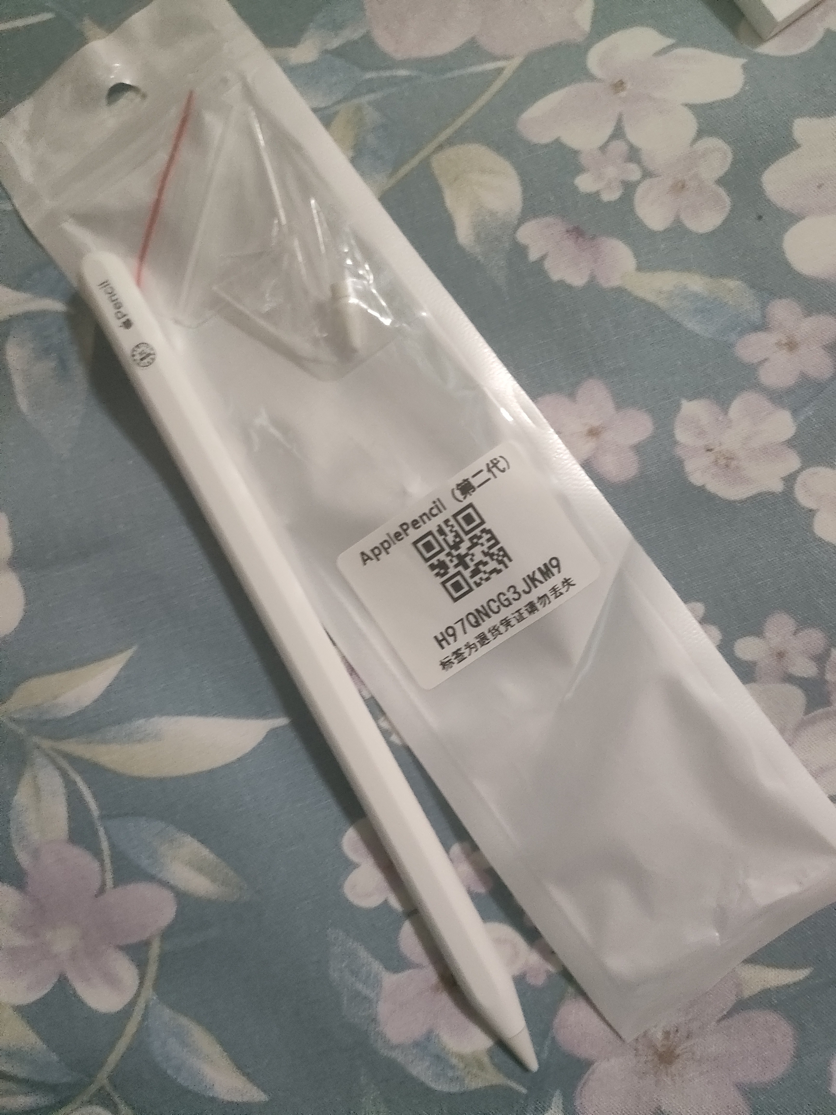 苹果Apple Pencil 一代/二代 苹果手写笔二手苹果手写笔/电容笔/触控笔二手平板电脑配件 苹果Pencil 二代手写笔+备用笔尖【99新】 实拍图