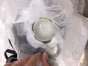 唐丰汝窑旅行茶具套装一壶三杯户外便携式陶瓷快客杯单人随身泡茶装备 实拍图