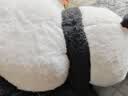 威尔通（WELTSTON）毛绒玩具玩偶公仔抱枕布娃娃摆件送女孩生日礼物礼品 大熊猫公仔 实拍图