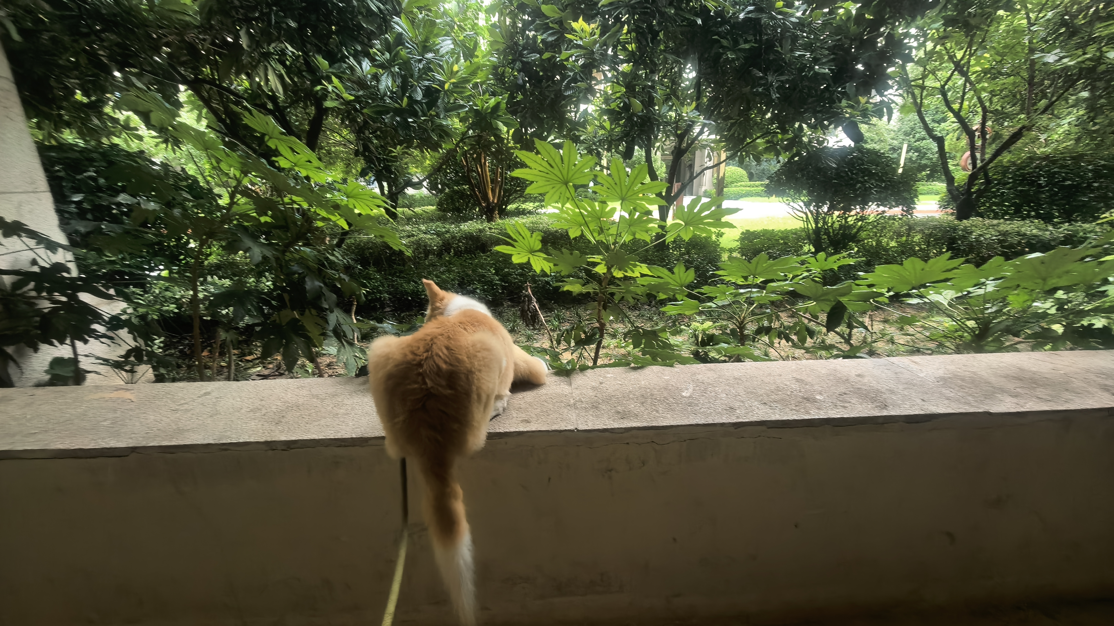 麦富迪狗狗零食 奢华营养鸭肉干400g成幼犬磨牙训练奖励解馋宠物零食 实拍图