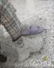 骆驼（CAMEL）女鞋新款复古运动鞋网面透气厚底增高休闲百搭软底减震老爹鞋子 实拍图