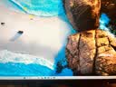 SANC盛色27英寸2K210Hz电竞显示器护瞳圆偏光IPS硬件低蓝光IGZO氧化物技术 500nit高亮10Bit G72护眼版 实拍图