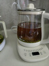 小熊（Bear）养生壶 煮茶壶 恒温水壶 智能保温烧水一体电热水壶花茶壶 316L不锈钢 1.5L YSH-J15H8 实拍图