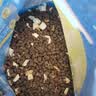 喔喔（WOWO）全价猫粮 经典大蓝包冻干三鲜 成猫幼猫通用猫干粮 鳕鱼虾3kg 实拍图