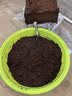 史丹利大块椰砖4.5KG 营养土椰糠养花通用型花土椰壳种菜专用脱盐椰子土 实拍图