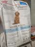 皇家狗粮 贵宾幼犬狗粮 犬粮 宠物小型犬 APD33 全价犬粮 2-10月 3KG 实拍图