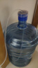 米家小米 即热饮水机S1即热烧水壶冲奶泡奶保温杯 3秒速热即热即饮 1℃调温MSYSJ03MH 实拍图