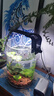 森森鱼缸增氧泵水族箱氧气泵LQE-200家用小型充氧泵4W双孔+全套配件 实拍图
