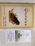 老尹家即食海参水袋冷藏速食7年中秋礼品送父母礼物80g/只礼盒 即食海参 80g /只 10只 实拍图