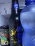 青海湖啤酒  10° 精酿青稞500ml*12 瓶大西北特色啤酒 整箱装 实拍图