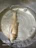 光威（GW）爆护鲫香味（100克）3袋四季搓拉鱼饵鲫鱼鲤鱼综合饵可拉饵钓鱼饵 实拍图