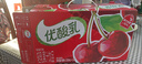 伊利【时代少年团同款】优酸乳车厘子味250ml*24盒 乳饮料牛奶饮品 实拍图