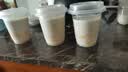 美丽雅奶茶杯一次性杯子400ml*20套咖啡杯带盖加厚塑料果汁塑料饮料杯 实拍图