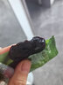 京东京造厚肉去核芙蓉李干248g无核胭脂李子干永泰厚肉零食果干 实拍图