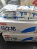 三元小福纯牛奶整箱227ml*16包 枕包 营养早餐伴侣【丁禹兮同款】 实拍图