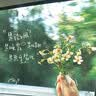 宜婴新梦想家全包臀婴小内裤2XL68超薄拉拉裤【品牌直供 安心品质】 实拍图