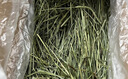 喜帅兔子提摩西草 精选烘干北提提草龙猫兔粮荷兰猪主粮磨牙零食500g 实拍图