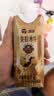 百菲酪醇菲水牛纯牛奶4.3g乳蛋白250ml*4盒生水牛乳整箱早餐下午茶 实拍图