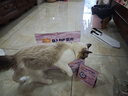 麦富迪猫粮 barf霸弗烘焙猫粮成幼猫粮生骨肉高蛋白养胃益肠鲜鸡肉100g 实拍图