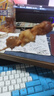 珍百年烧烤牛肉串500g25串腌制半成品露营食材空气炸锅生鲜冷冻 实拍图