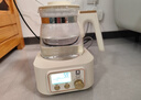 小白熊全玻璃恒温水壶调奶器婴儿电热水壶烧水壶冲奶1.2L 5025随机发货 实拍图