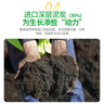 修正花乐多 多肉土专用颗粒土70%多肉营养土铺面石幼苗成株老桩 通用型5斤 实拍图
