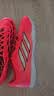阿迪达斯（adidas）男女鞋 足球系列 猎鹰PREDATOR CLUB TF 足球鞋 HP9975 红色 44.5 实拍图